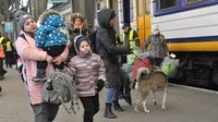 Укрзализныця опубликовала график эвакуационных поездов на 1 апреля
