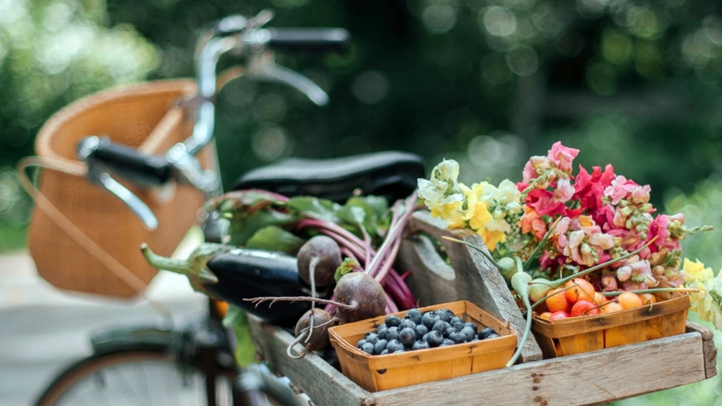 Какие продукты взять в путешествие на велосипеде
