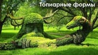 Статья 5 причин заказать топиарные формы садовых фигур на сайте topiar.ua