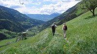 Преимущества и недостатки активного туризма